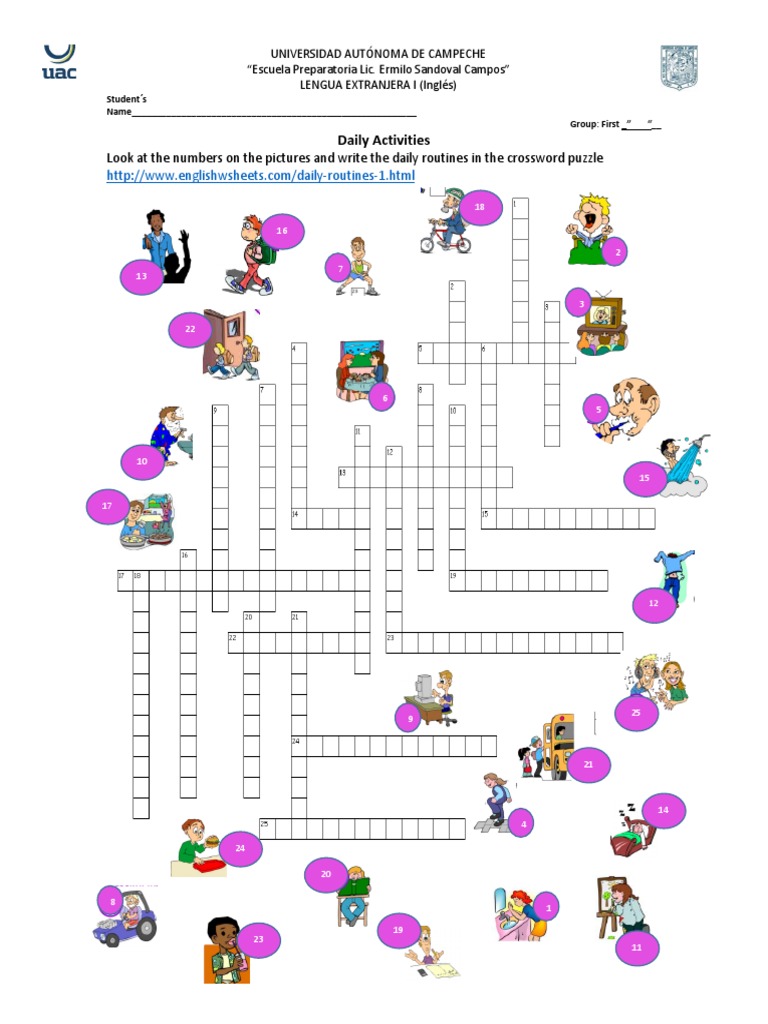 Daily Routines Activities | PDF | Eating Behaviors Of Humans | Meal