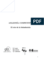 Libro Amazonia Competitiva