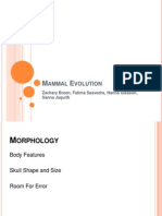 Mammal Evolution Oral Report PowerPoint