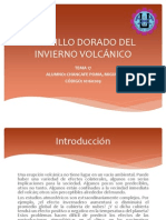 Brillo Dorado Del Invierno Volcanico