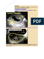 1 US IMAG NORMAL BUENO Ecografía en El Embarazo 1 PDF