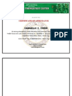 Camarillo C. Cossid: Certificate of Attendance
