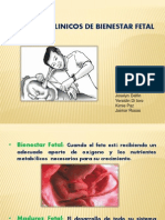 Bienestar Fetal