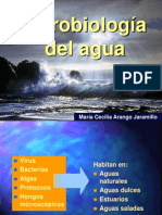 Microbiologia del Agua