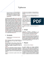 Typhaceae.pdf