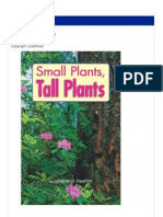 Tall Plant Small Palnts