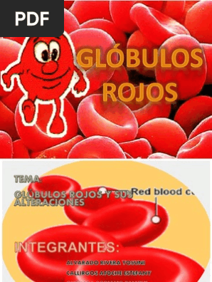 Globulos Rojos Y Sus Alteraciones Pptx Globulo Rojo Sangre