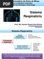 3.Sistema Respiratório