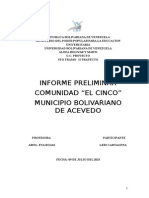 Informe Preliminar Comunidad El Cinco