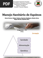 Manejo Sanitário