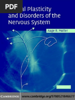 Physio Initial Assessment Form Pdf Self Improvement