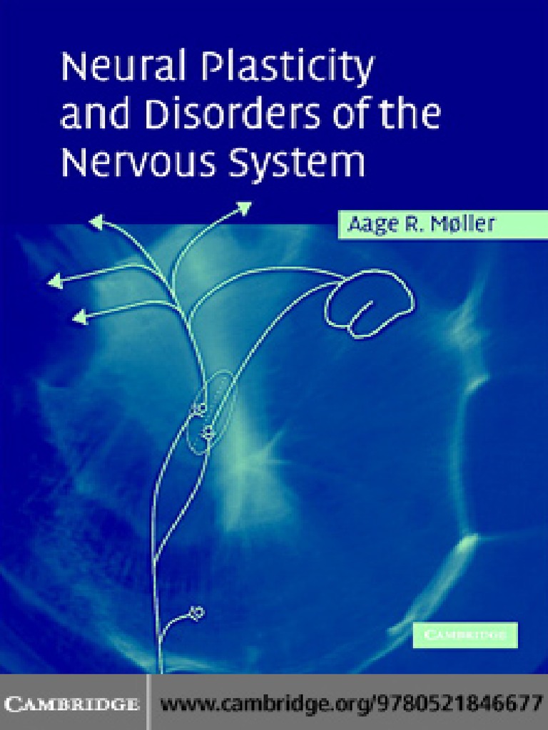 Neural - Plasticity - and - Disorders - of - The - Nervous - System ...