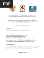 Link Proj 1 - Aracruz