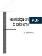 02 - Neurofisiologia Cerebral Do Adulto Normal, 2013 PDF
