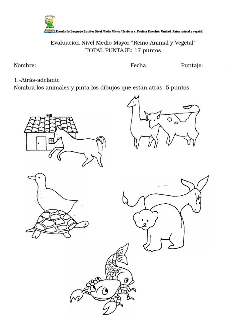 Prueba MM Unidad Reino Animal | PDF | Salud y bienestar