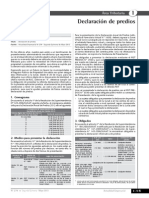 DECLARACION DE PREDIS.pdf