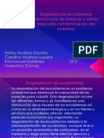 Degradación Ecosistemas (Destrucción de Bosques y Selva