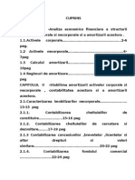 100 - Analiza Economico-financiara a Structurii Activelor Corporale Si Necorporale Si a Amortizarii