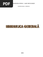 Curs Hidraulica Generala IPG IONESCU PDF