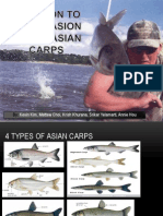 4 Types Asian Carps Solution