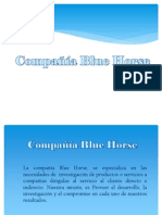 Compania Blue Horse Cucrso 500 4 de Noviembre 2014