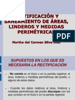 Rectificacion y Saneamiento de Areas