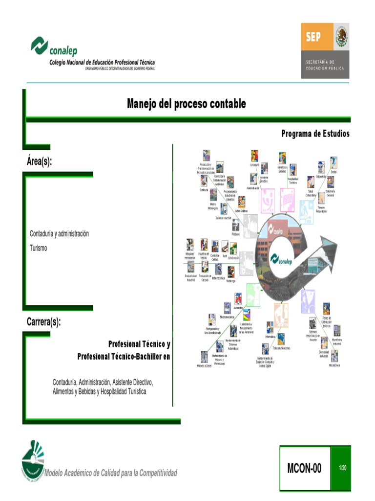 Manejo Proceso Contable | PDF | Contabilidad | Estado de resultados