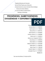 Trabajo HISEM (Gametogénesis)