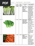 Download IDENTIFIKASI TANAMAN SAYURAN by RafyAuliaAkbar SN245886961 doc pdf