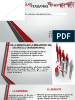 desarrollo organizacional 