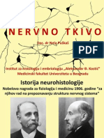 Nervnotkivosajt PDF