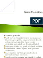 Genul Clostridium)