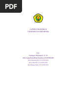 Download LAPORAN PRAKTIKUM BENIHdocx by Alief Asqiq Ramadhani Sumahna SN245912147 doc pdf