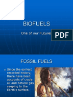 Biofuels: One of Our Futures