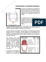 SECUENCIA DE ERUPCIÓN DE LOS DIENTES DECIDUOS.docx