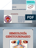 Semiología Del Aparato Genito Urinario (1).Yovana