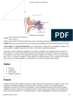 Tuba auditiva - Função e anatomia