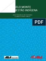 Belo Monte e a Questao Indigena