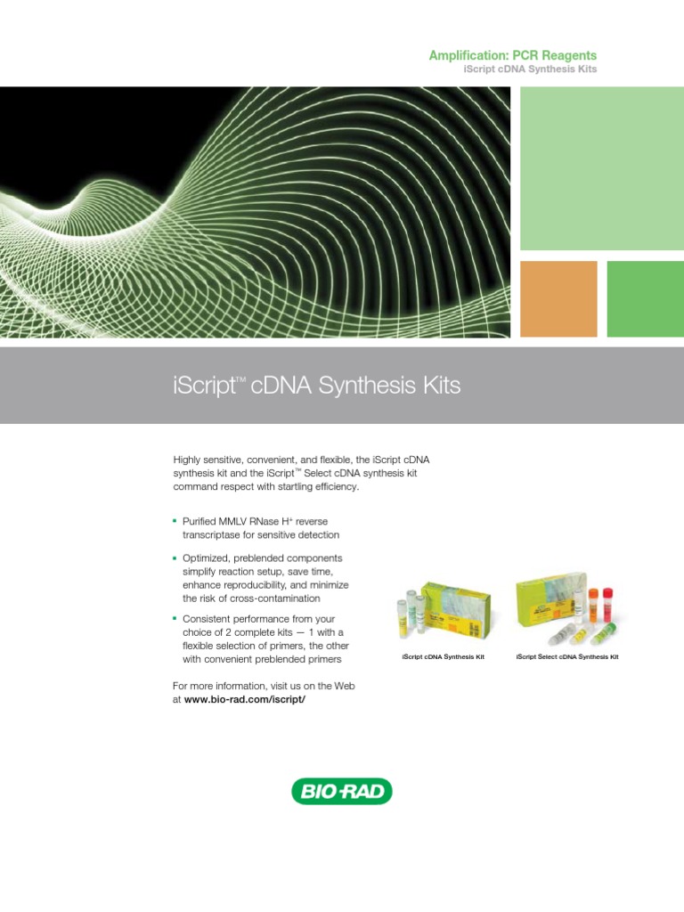 Bulletin_2894D iScript cDNA Synthesis Kits Flyer Reverse
