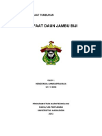 Makalah Manfaat Daun Jambu Biji