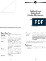 Blotting Grade Biotinylated AP