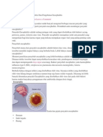 Penyebab Penyakit Encephalitis Dan Pengobatan Encephalitis