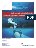 Guiacondrictioschile PDF