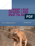 Despre Lene