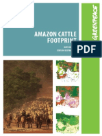 Amazon Cattle Footprint Mato