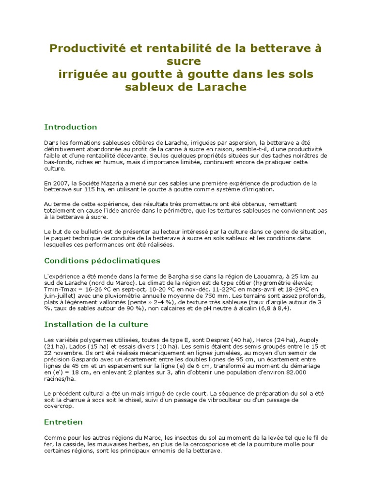 Rentabilité de la betterave à sucre à Larache | PDF | Betterave ...
