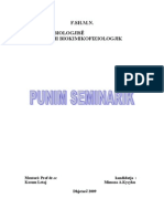 Punim Seminarik-Fatbardha