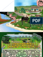 Agro Forestal