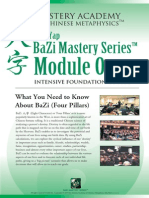 BaZi For Beginner Course Advantage