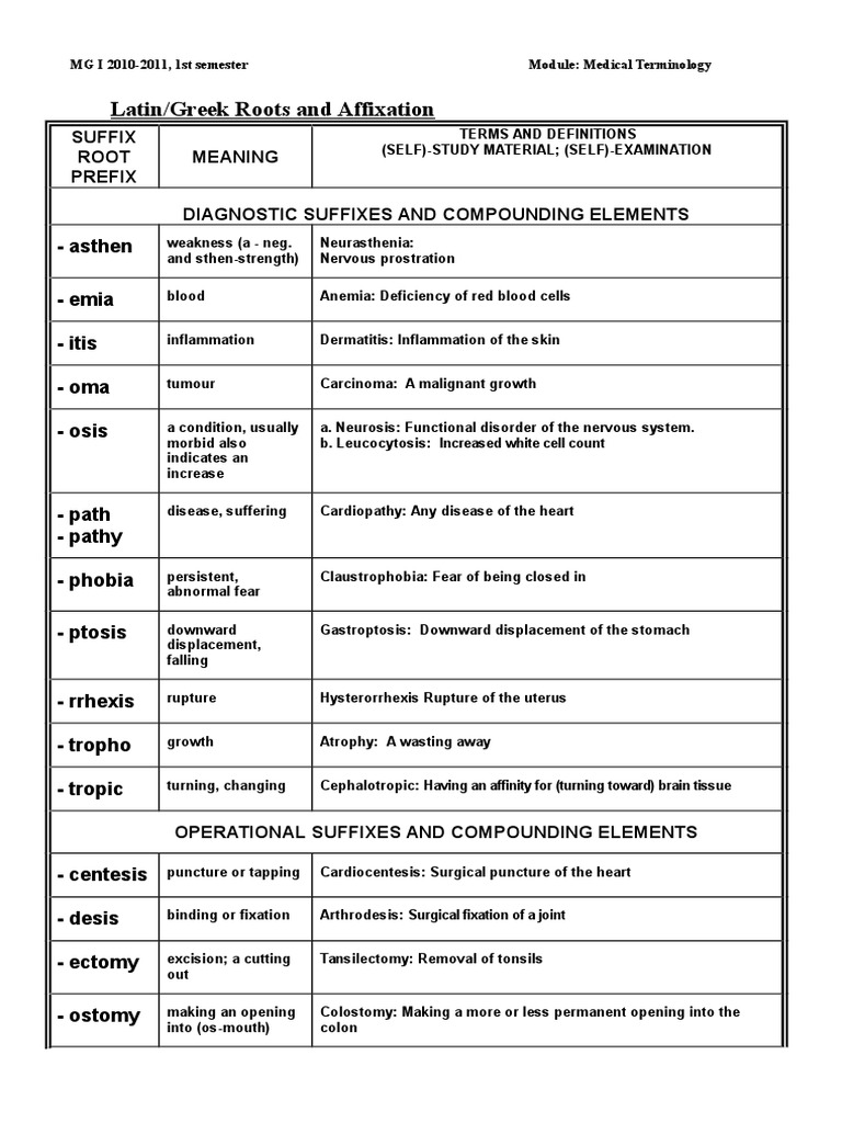 glossary-of-greek-and-latin-affixation-in-medical-terminology-lung